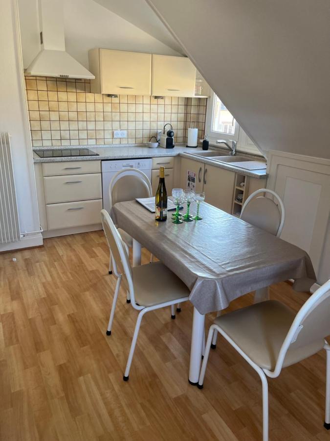 Bel Appartement Centre Climatise Parking Prive Colmar Bagian luar foto