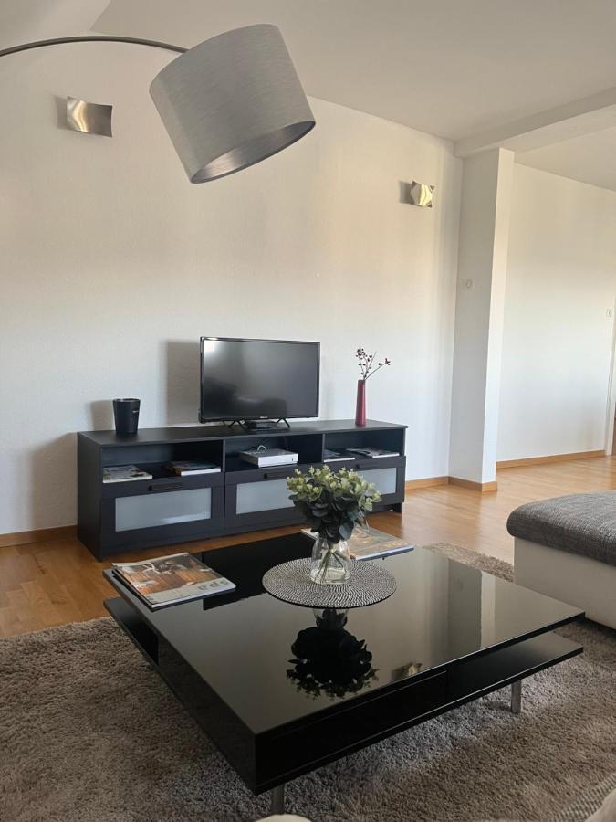 Bel Appartement Centre Climatise Parking Prive Colmar Bagian luar foto