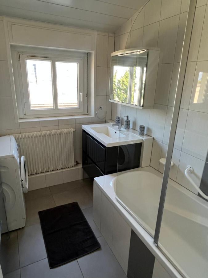 Bel Appartement Centre Climatise Parking Prive Colmar Bagian luar foto