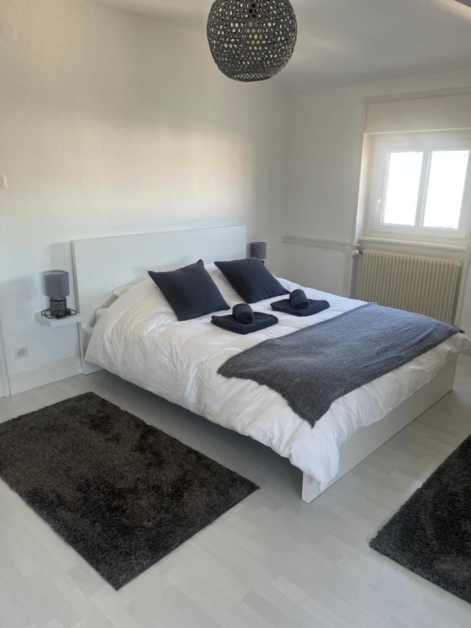 Bel Appartement Centre Climatise Parking Prive Colmar Bagian luar foto