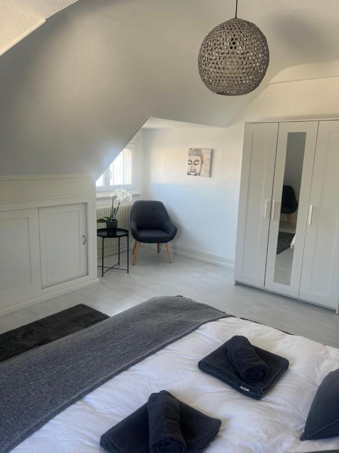 Bel Appartement Centre Climatise Parking Prive Colmar Bagian luar foto