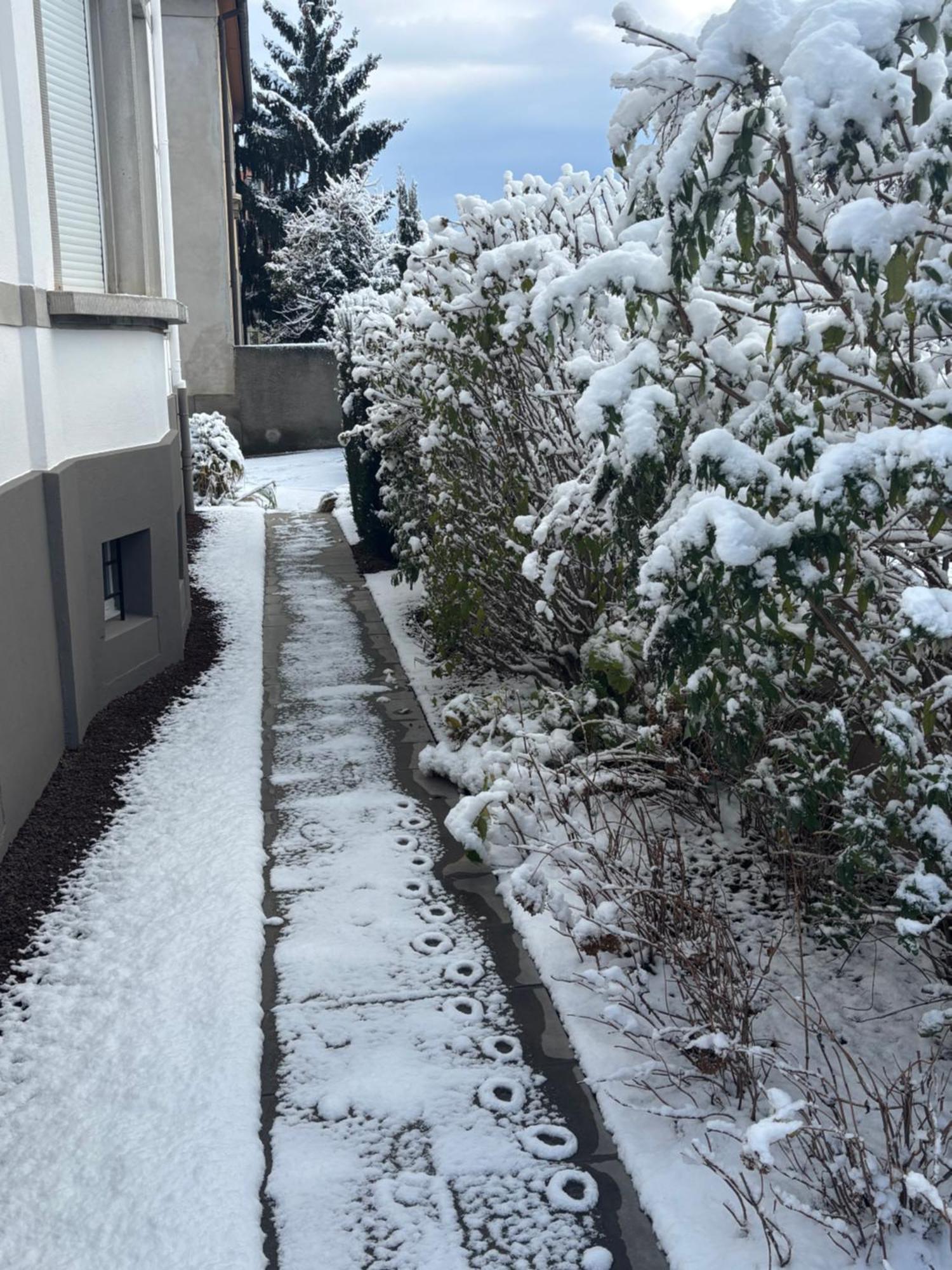 Bel Appartement Centre Climatise Parking Prive Colmar Bagian luar foto