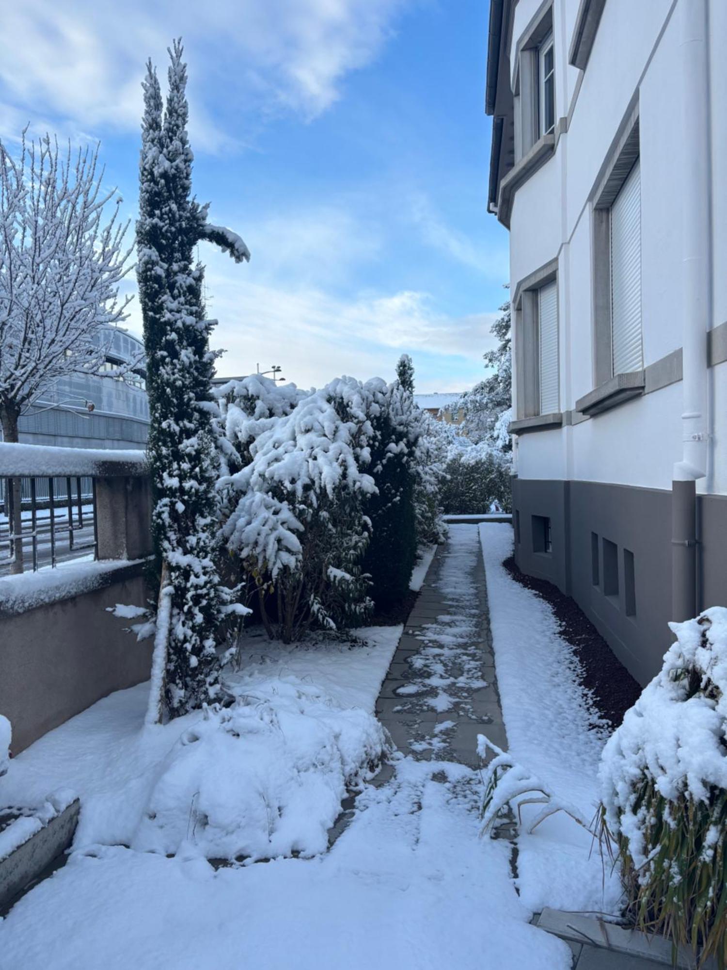 Bel Appartement Centre Climatise Parking Prive Colmar Bagian luar foto